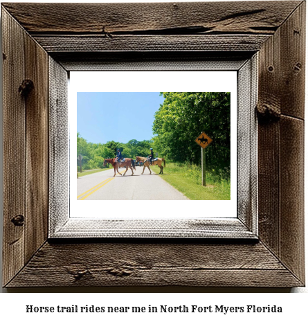 horse trail rides near me in North Fort Myers, Florida